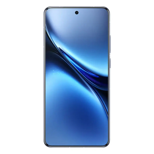 Vivo X200 Pro 16/512Gb Синий