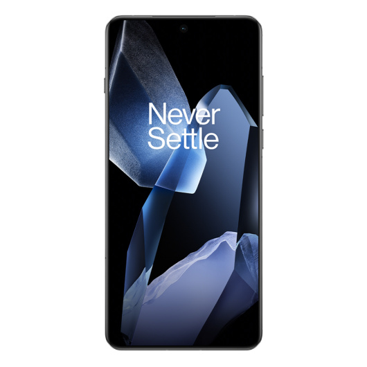 OnePlus 13 16/512Gb Dual nanoSim Черный Global