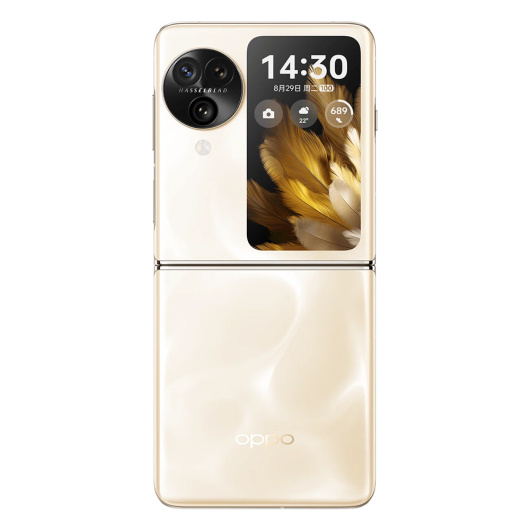 Oppo Find N3 Flip 12/256Gb Золотой