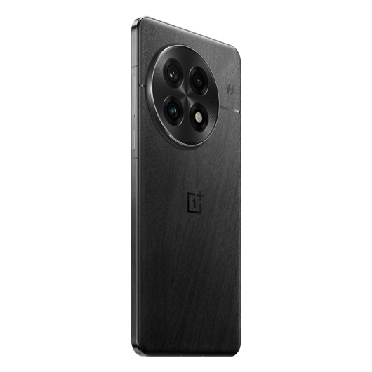 OnePlus 13 16/512Gb Dual nanoSim Черный Global